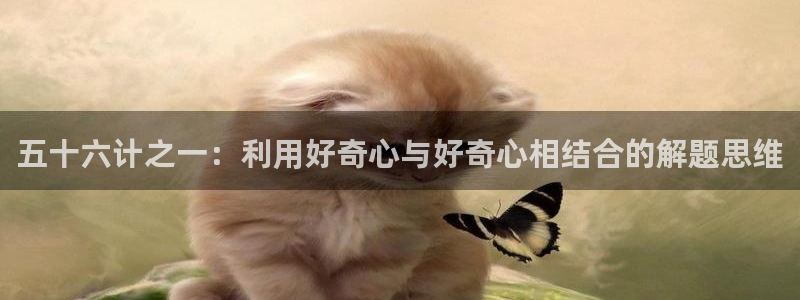 五十六计之一：利用好奇心与好奇心相结合的解题思维