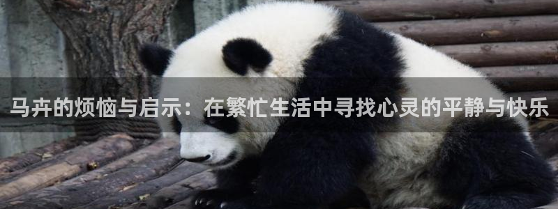 马卉的烦恼与启示：在繁忙生活中寻找心灵的平静与快乐