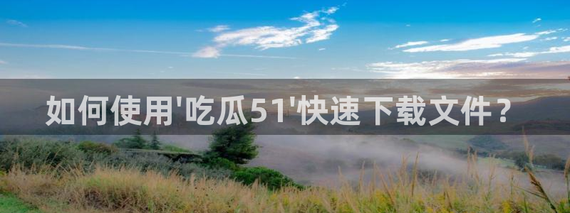 如何使用\'吃瓜51\'快速下载文件？